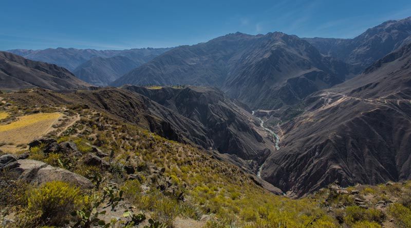 Cañón Colca (3000km Viaje Mochilero Aventura)