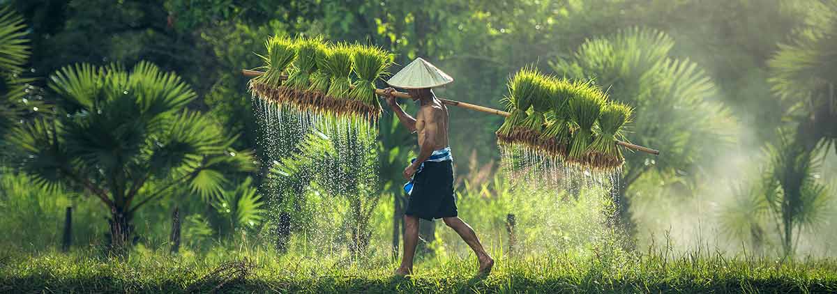 viajar alternativo vietnam