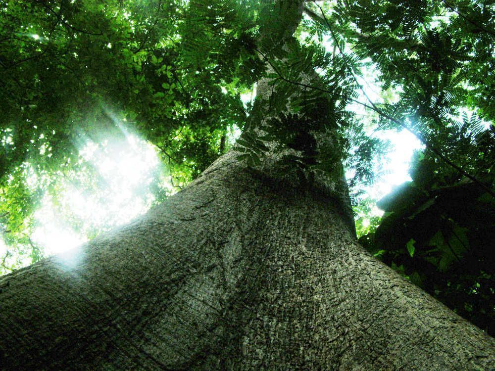 Blog-tano_boase-Ghana-Africa-3000KM-viajes-Aventura-Alternativos-Mochilero-Turismo_Responsable-02