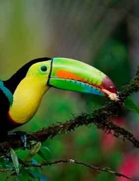 Destino Costa Rica, Centro America: Viajes de Aventura, Viajes Alternativos, Turismo Responsable, Mochilero, Viajar en Grupo, Viajar Sola, 3000KM