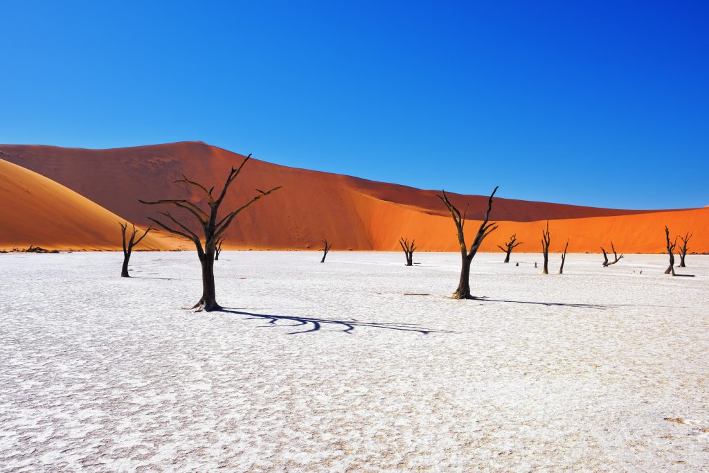Namibia-shutterstock_448819990