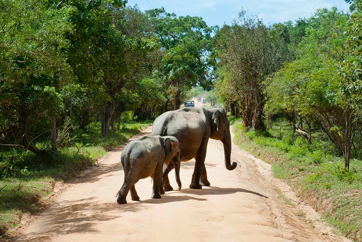 Turismo Sostenible, Viajes de Aventura, Viajes Alternativos, Turismo Responsable, Mochilero, Viajar en Grupo, Viajar Sola, 3000KM Turismo Sostenible, Viajes de Aventura, Viajes Alternativos, Turismo Responsable, Mochilero, Viajar en Grupo, Viajar Sola, 3000KM